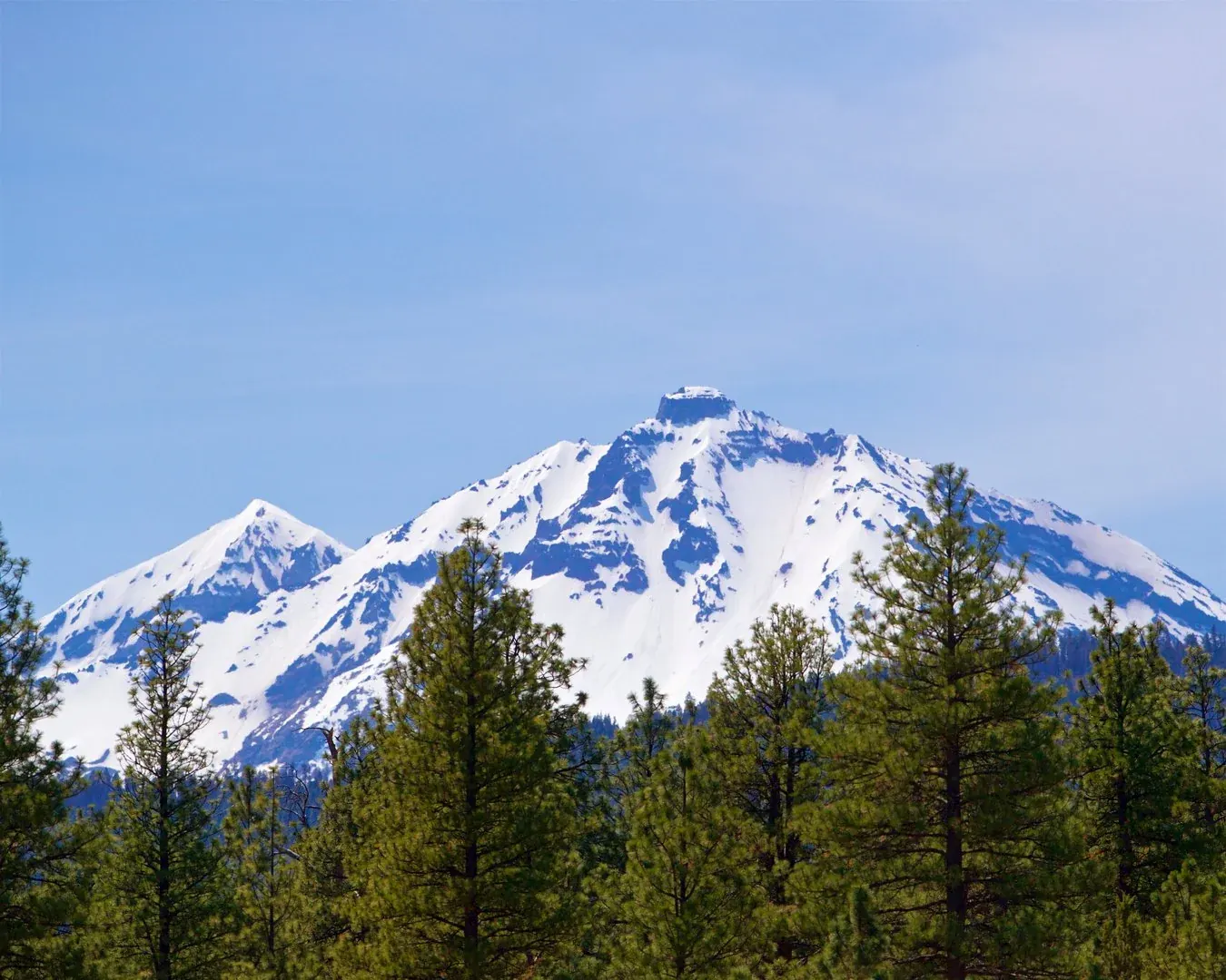 A snow-covered Cascade peak rising over ponderosa pines near Sisters